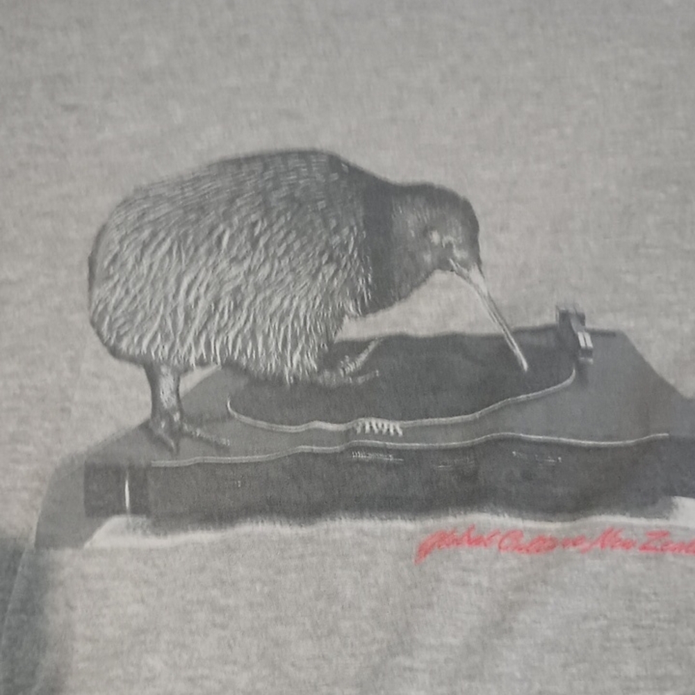 Gray Graphic Tee with Kiwi Design Women's Small - Picture 4 of 6